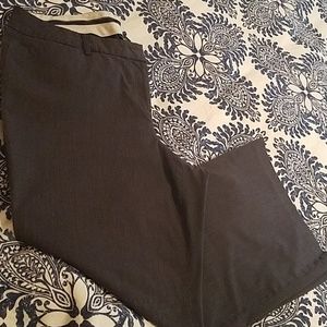 Lane Bryant Dress trouser